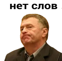 Video sticker 😕 Владимир Вольфович Ж