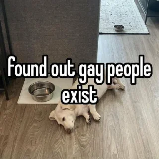 Sticker 😖 homophobic dog