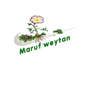 Sticker 💛 Maruf kumuw