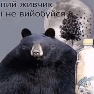 Video sticker 🐻 Ukraine memes
