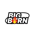 Video sticker 🔥 bigburn coin