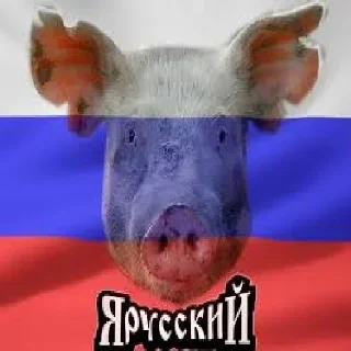 Sticker 🇷🇺 Russisches Schweine - by : @Oleg_Rachko