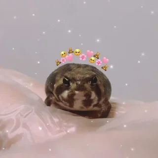 Video sticker 🌸 Жабульки