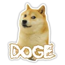 Sticker 🐶 Doge