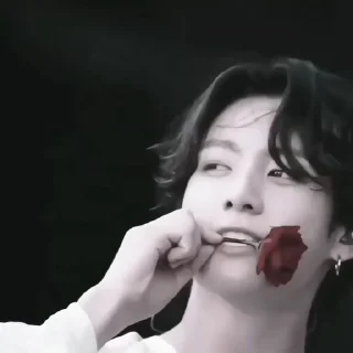 Video sticker 🌹 𝙠𝙤𝙤𝙠 𝙢𝙤𝙤𝙙¡! @btsxaesthetic :: @fStikBot