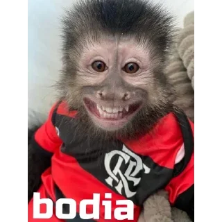 Sticker 🐵 bodia