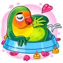 Video sticker 😘 Love Bird