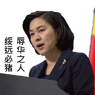 Sticker 😡 中共外交部发言人华春莹