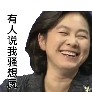 Sticker 🥰 中共外交部发言人华春莹