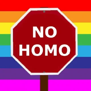 Video sticker ⛔️ No Homo