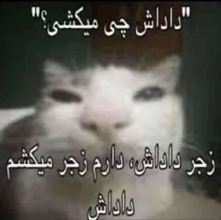 Sticker 😢 تمام شد