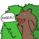 Sticker 🐻 Pascal & Co