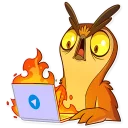 Sticker 😨 Freelance Owl