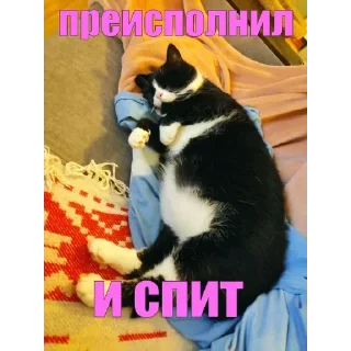 Sticker 😴 Хуананзион в моём сердечке❤️