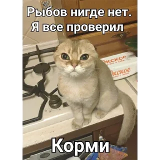 Video sticker 🐠 Хуананзион в моём сердечке❤️