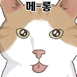 Sticker 💬 얼빡샷 고양이 By @KakaoEmoticon