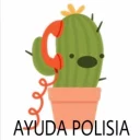 Video sticker 🌵 🌵