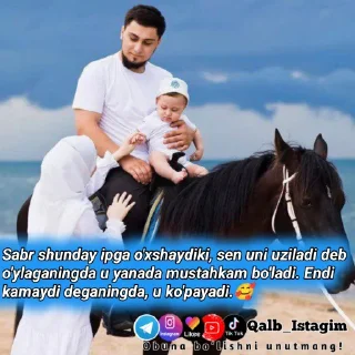 Sticker 🌺 Qalb_Istagim