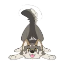 Video sticker 🐺 Wolf Stickers by Pulex