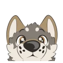 Video sticker 😶 Wolf Stickers by Pulex