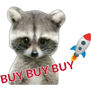 Sticker 😁 Racoon1C