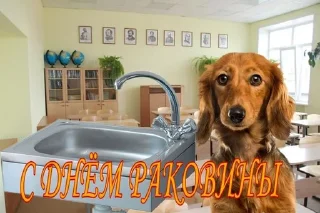 Video sticker 🚰 С днем ...