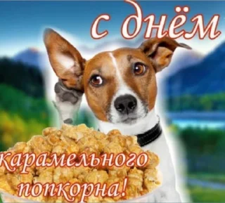 Sticker 🍿 С днем ...