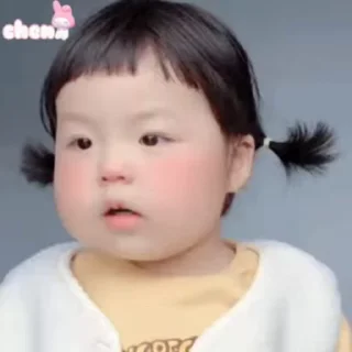 Video sticker 🤨 崔智贤 视频贴纸包(0)