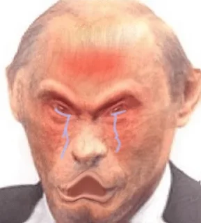 Video sticker 🐵 Monkey Putin