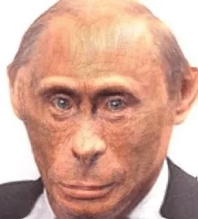 Sticker 🐵 Monkey Putin