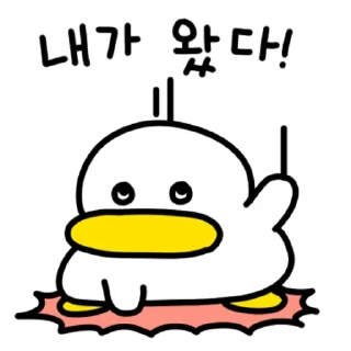 Video sticker 💬 꽉꽉꽉! 두 번째 곽철이 By @KakaoEmoticon