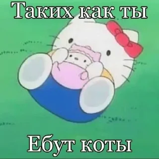 Video sticker 🌟 Немой киви :: @fStikBot