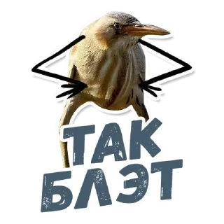 Sticker 😎 EkaterinaSh_official :: @fStikBot