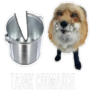 Sticker 😭 Лисички