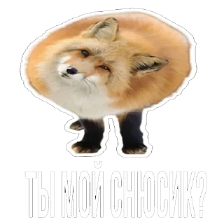 Sticker 😂 Лисички