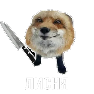 Sticker 😄 Лисички