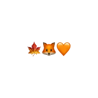 Video sticker 🦊 Afnan by @fStikBot