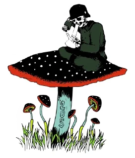 Sticker 🍄 Edelweiss (@hungarianmushroompeople)