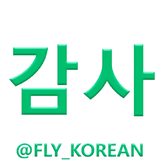 Video sticker 👍 FLY_KOREAN
