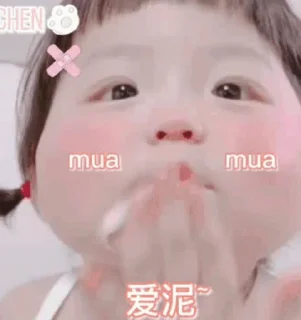 Video sticker 🍡 丸崽の表情包❷🍡❤️